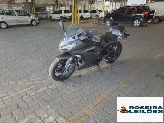 Kawasaki Ninja 300 ANO 2013/2014